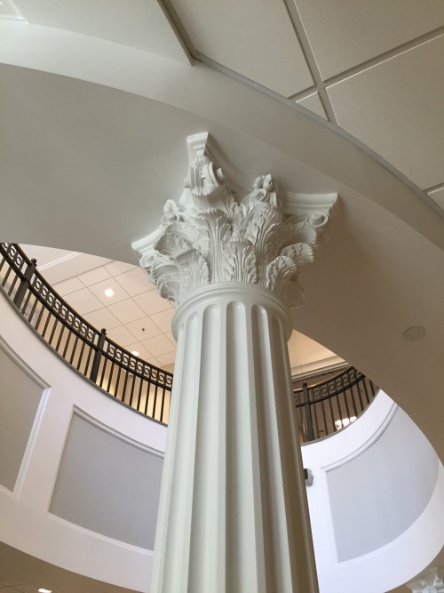 Doric columns outside the Beaman Center characterized by the square “pillow” capital.Ionic columns o