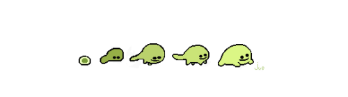 juenavei:froggi’s life cycle: eggie, taddipole, poliwoggle, froggilette, froggi