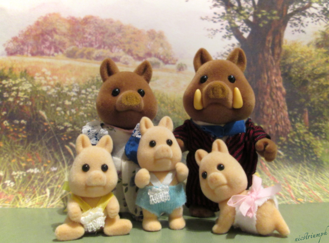 Sylvanian Families - Famille Chats Tuxedo