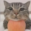 howdoesitfeeltobeafreeman
