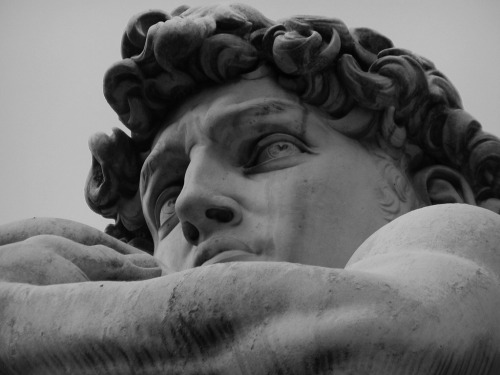 henriplantagenet:  The Statue of David, Florence.