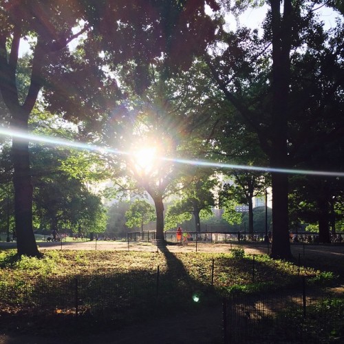 #nofilter #NYC #centralpark #sunset