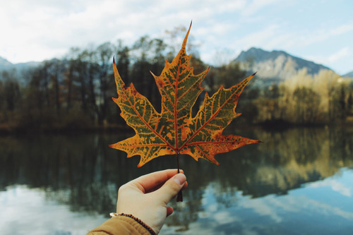 fall is back on We Heart It.