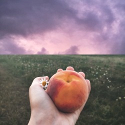 dayzea:  Thunderstorm clouds and a peach. Two very nice things. 