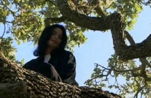 angel-of-death-2015: betterthankanyebitch:   ikesh:  n0pu55y4u:   56blogsstillcrazy:  SCREAMING   Whyyyyy   🗣WHO RAISED YALL?!?!!  my laugh right now is so ugly!!   ALL OF YA’LL ARE B L O C K T 😭😭😭😭 
