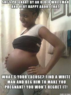 sexpostion:  Lmao  She&rsquo;s gonna have a litter for her white master.