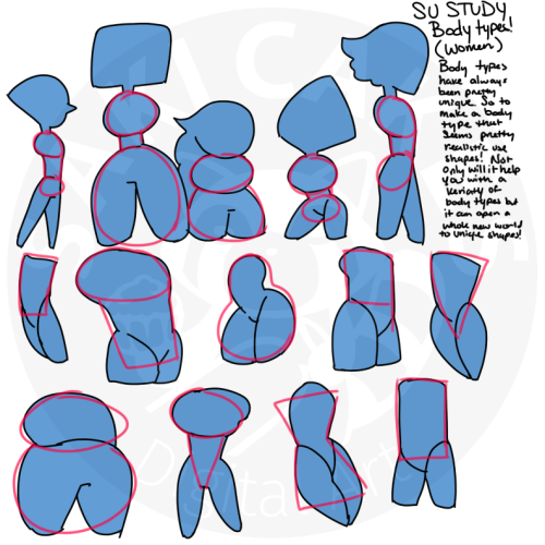 Body types and proportions study : r/learnart