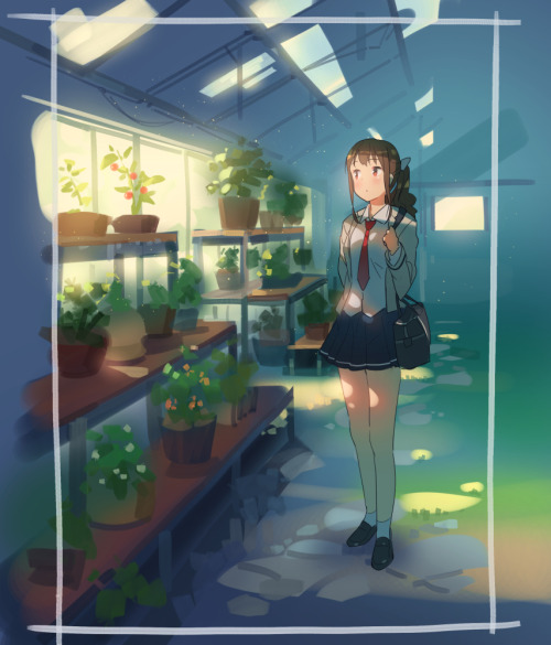 ddal84:    ミニトマト  
