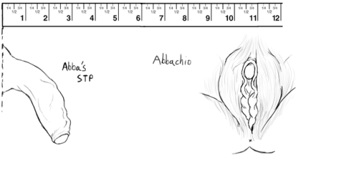 smutprincedio: Abbacchio. Transman. Several years on T so prominent clit growth. Puffy Majora, “spir