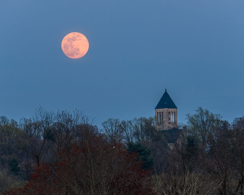 Today is #NationalMoonWalkDay, celebrating the anniversary of the day when humankind first walked on