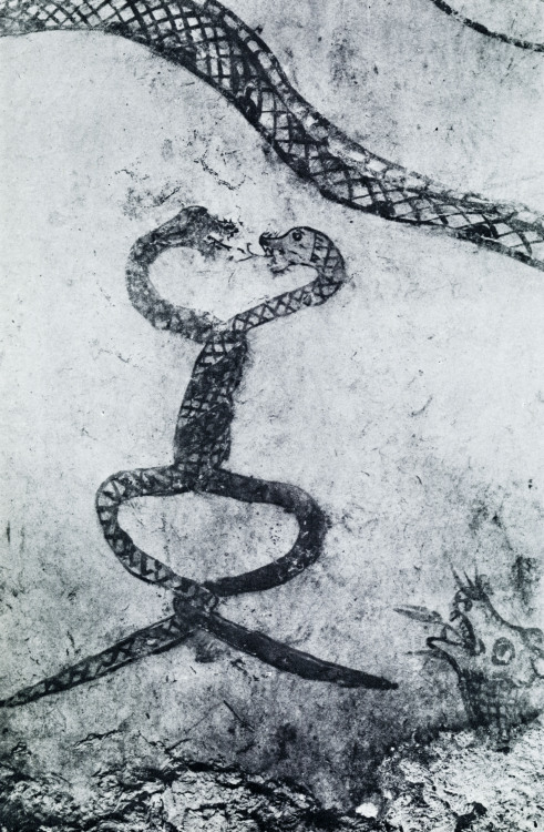 bookoffixedstars: Knotted snakes - Samshilch’ong tomb murals (complex of Goguryeo tombs), North Kore