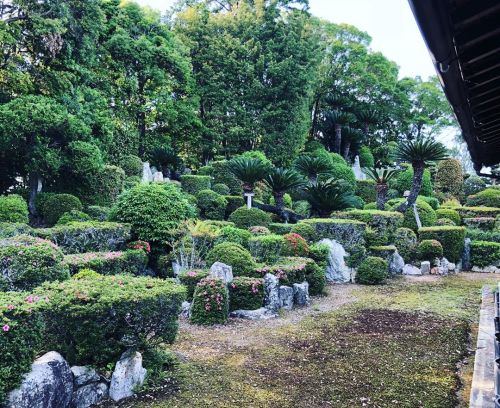 ⛳️1563. 医王寺庭園 Iouji Temple Garden, Iwata, Shizuoka ――東海道本線新駅「御厨駅」すぐ近くの観光スポット。#小堀遠州 作庭とも伝わる江戸初期の #枯山水