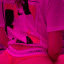 weallhavedemonsx