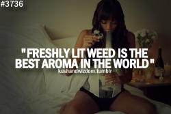 kerliolenn:  freshhhy fresh on We Heart It - http://weheartit.com/entry/64474070/via/KerliOlenn Hearted from: http://myquoteshome.com/category/quotes-about-weed/ 