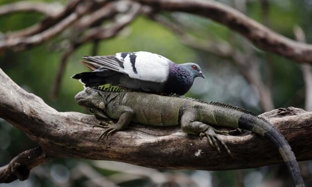 becausebirds:  &ldquo;This looks like a nice spot.&rdquo; 