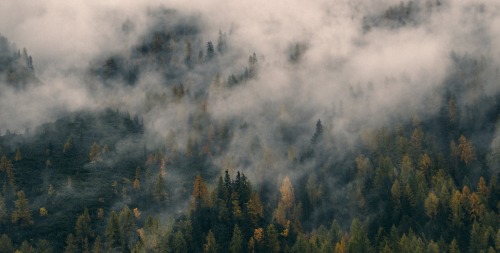 stormbornvalkyrie: The Misty Mountains Inspo \ Free (do whatever you want) high-resolution phot