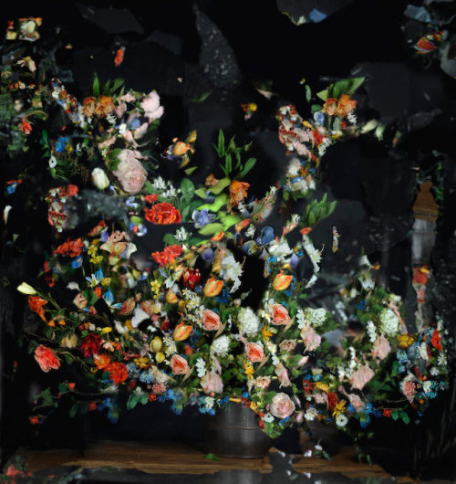 culturenlifestyle:  Lush Flower Bouquet Reflected on a Broken MirrorIsraeli photographer Ori Gersht creates a psychedelic photography series, which includes an unconventional tool: a broken mirror. Entitled, On Reflection, the series uses plastic and