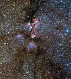 astronomicalwonders:  The Cat’s Paw Nebula in Infrared Infrared view of the Cat’s Paw Nebula (NGC 6334) taken by ESO’s VISTA. NGC 6334 is a vast region of star formation about 5500 light-years from Earth in the constellation of Scorpius. The whole