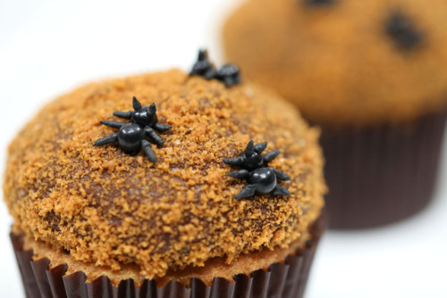 Anthill Cupcakes Yields 14-16 cupcakes  The things you’ll need Ingredients 1 ¼ cups all