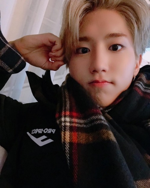 straykidsupdate:realstraykids: 겨울맞이 준비 완료~~~