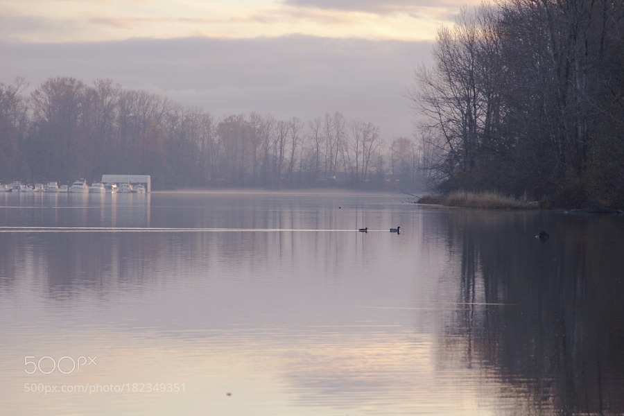 QUIET EVENING by zyichun2011
found at 500px