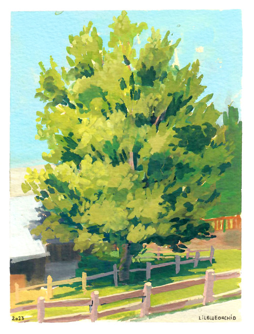 More Pleinair Mountain Paintings From Last Week As I Was In The French Alps! Pleinair Is Hard And I Havent