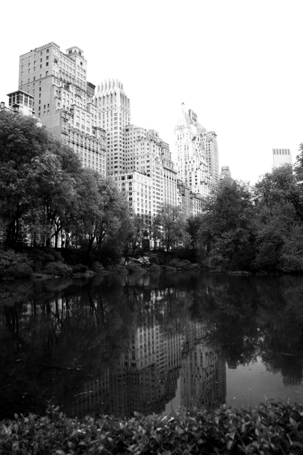 The nature