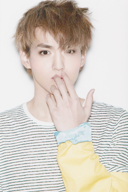 wuyifanxing:  31 / ∞ stars in the galaxy