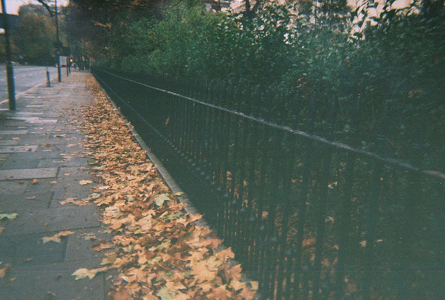 englishsnow:   Ashley Vaughan      