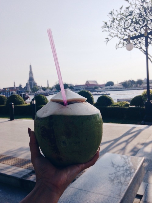 Coconut in bangkok