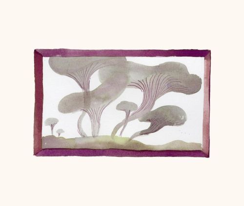 Mushroom dusk.  #dailydrawing #watercolor #illustration #illustrator #watercolorink #mushrooms https