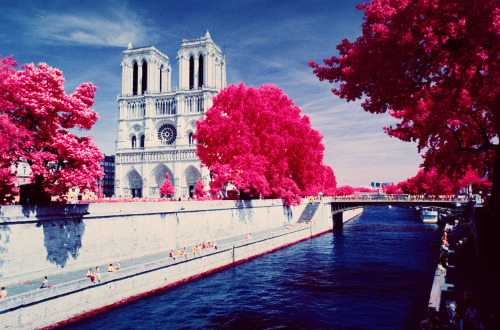 Paris / Versailles Infrared - June 2014 Kodak EIR