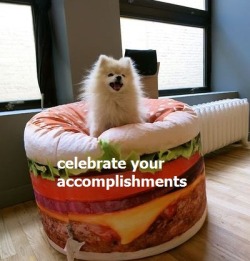 thebestoftumbling:  motivational pups