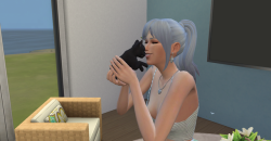 Sim!Weiss’s Favorite Black Cats E/////V///////E