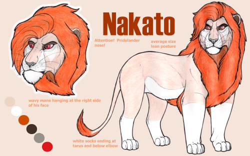 Nakato