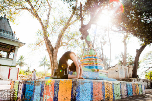 Siobhan Sears in Srirangapatna, India.www.siobhansears.comPhotography by Christine Hewitt © yogicpho