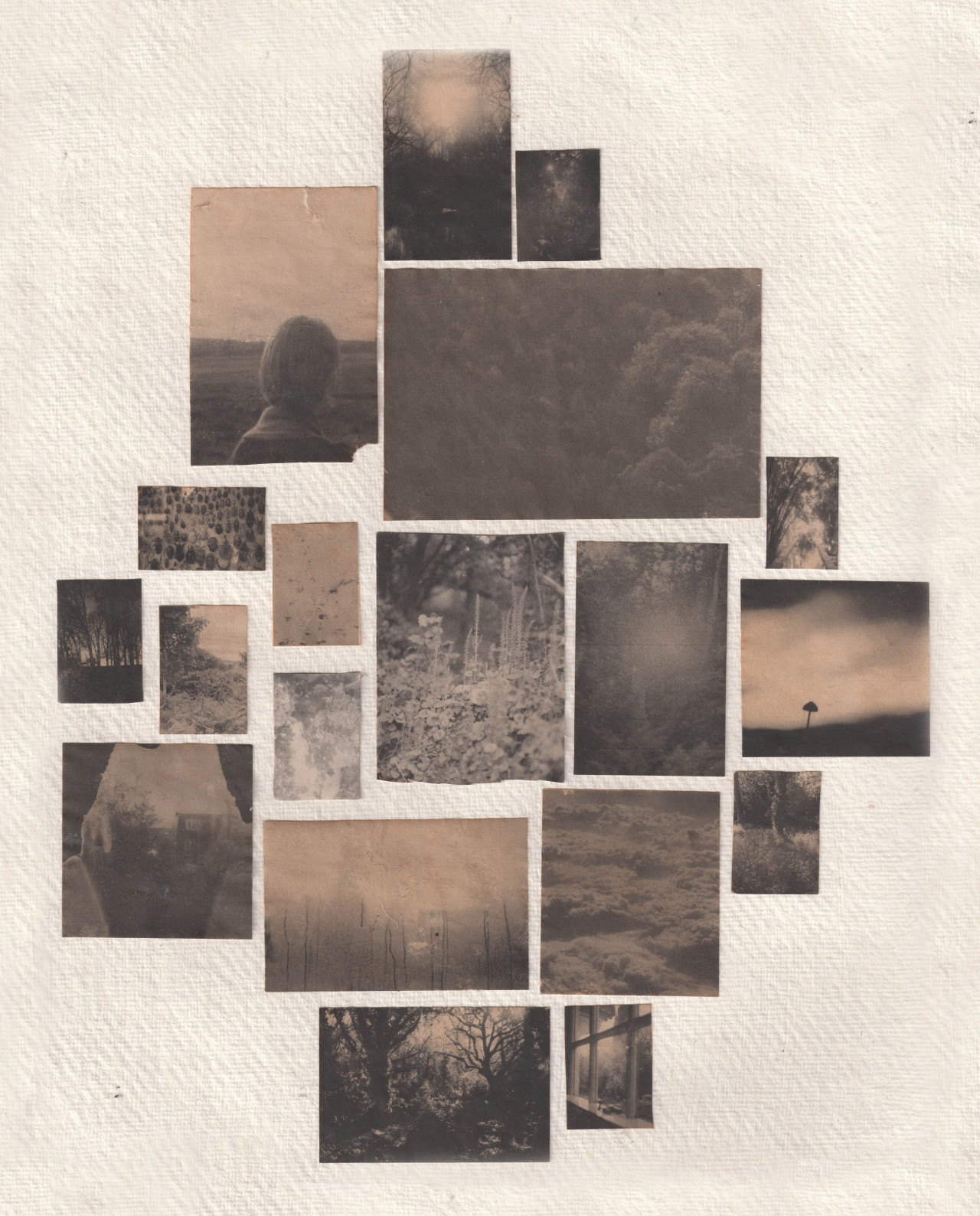 sidblack:  Coffee soaked inkjet prints on watercolour paper.  