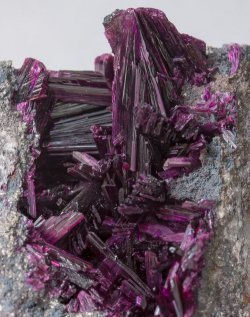 bijoux-et-mineraux:  Erythrite with Phlogopite