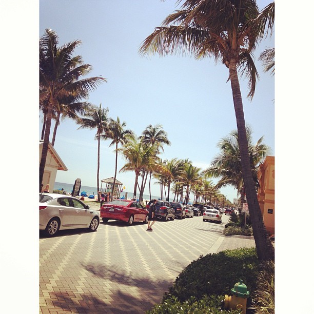 palv-in:  ☯rosy/bubblegum princess☯ follow back similars x 