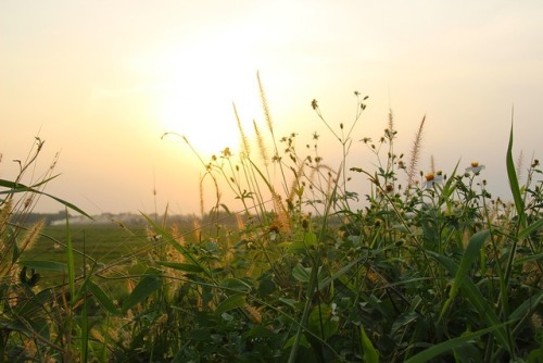 Let That Sunrise In