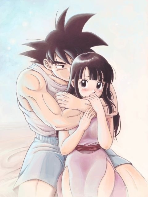 Dragon ball z chi chi and goku love