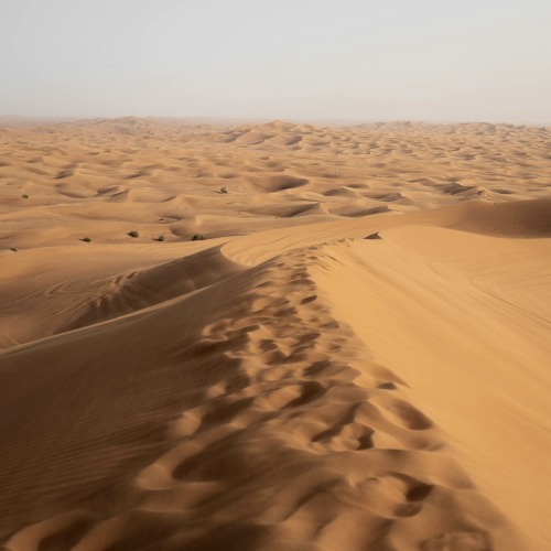 Paul Atreides Future Aesthetic