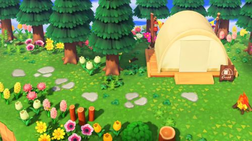 sunny-island: Wildflowers at the campsite ｡^‿^｡