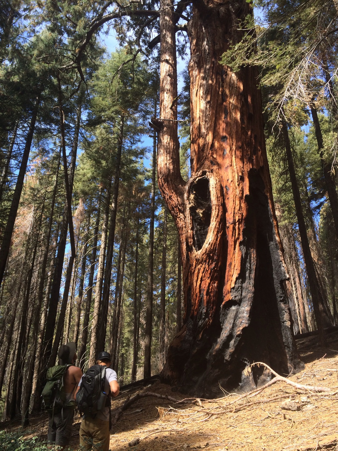 lasplayaslasmontanas:  So tell me, how many fires have you fought…