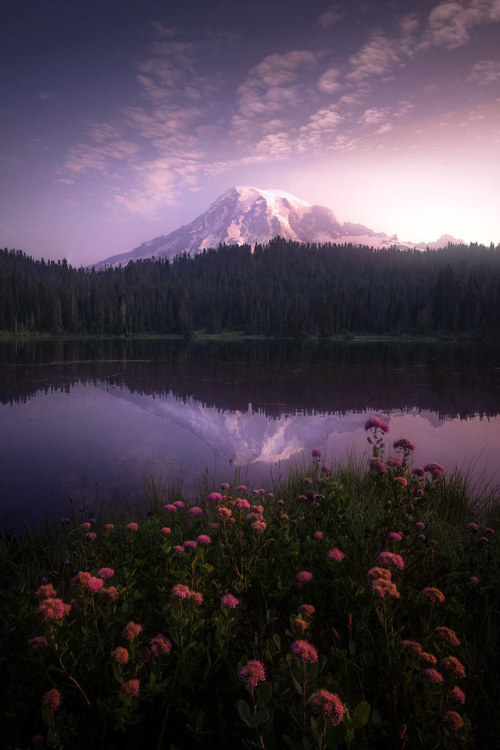 vurtual: Essence of dawn (by Sapna Reddy)