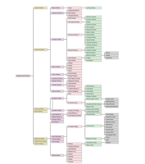 The Holmes family tree. Can u spot me? 🕵🏽 adult photos