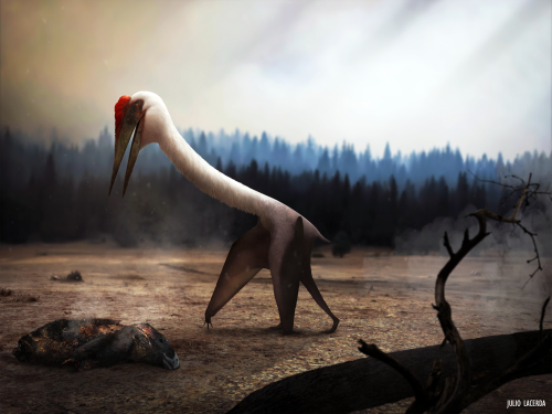 paleoart:   A Quetzalcoatlus inspects the ground for food in the aftermath of a forest fire.See more