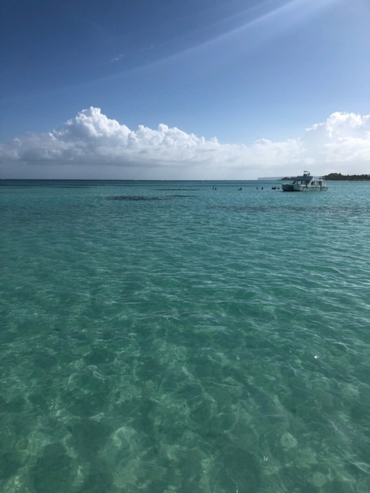 Dominican Republic. I was on a boat this day, snorkled and saw a shark and barracuda. I played in the water and didn’t get out until it was time to leave. A part of my spirit lies there now.