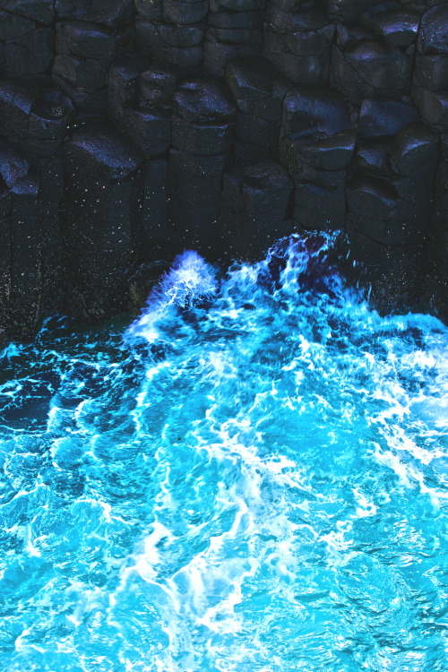 Kingdom Of The Ocean