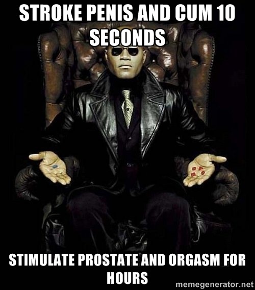 XXX Prostate Orgasms: The Guide. photo